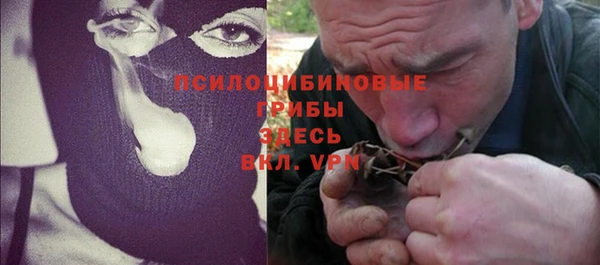 сатива Абинск