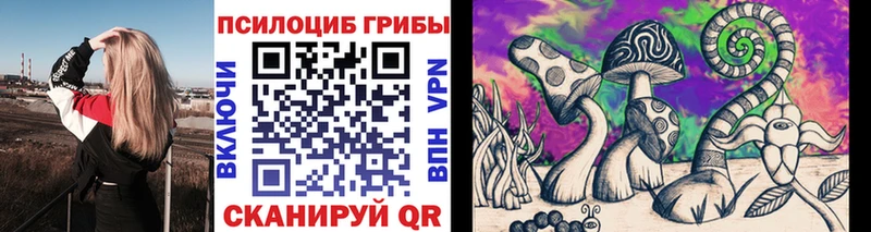 Галлюциногенные грибы Cubensis  omg вход  Мыски 